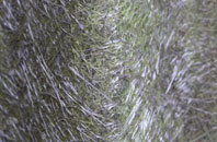 Far Bank fibreglass roof work